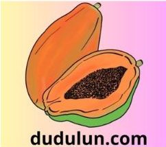 dudulun.com